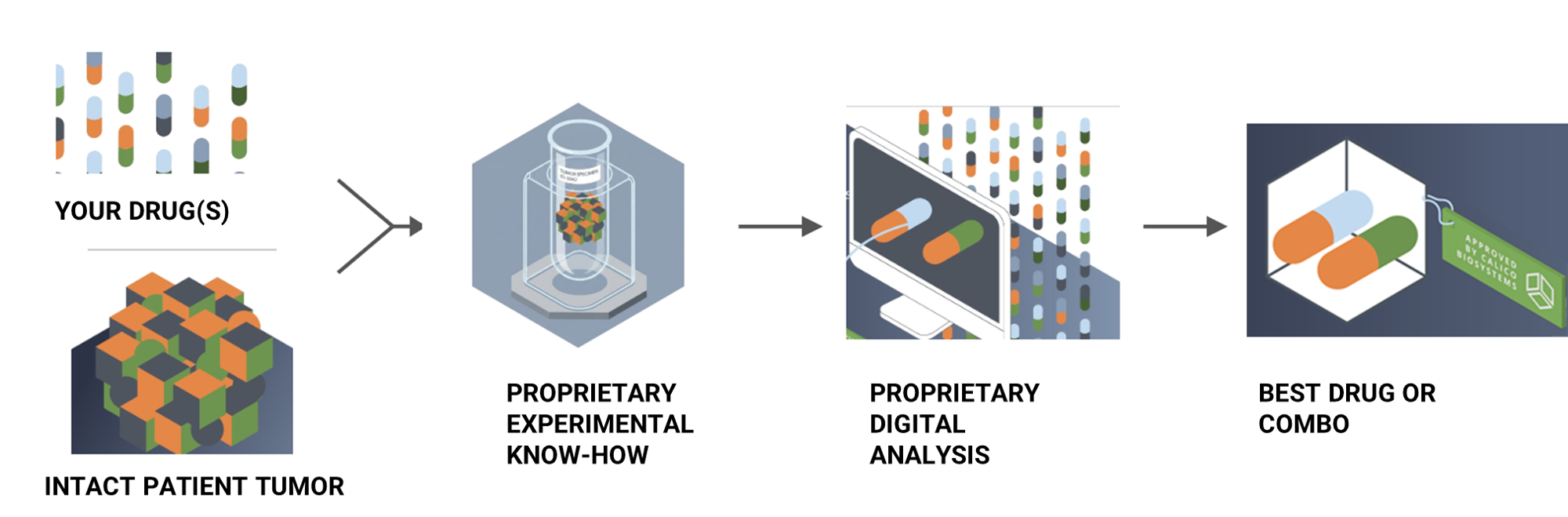Oncology Drug Development NAM platform